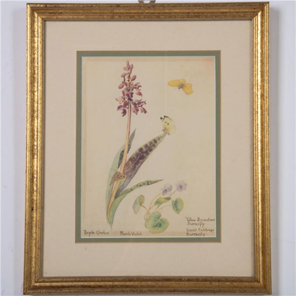 Edith Holden (Aft.) Facsimile on Paper, The Country Diary