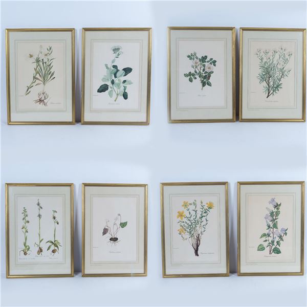Set of 8 Flora Color Prints on Paper after Niki Goulandris