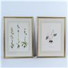 Image 5 : Set of 8 Flora Color Prints on Paper after Niki Goulandris