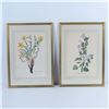 Image 6 : Set of 8 Flora Color Prints on Paper after Niki Goulandris