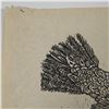 Image 5 : Original Woodcut on Paper, Bird with Peace