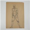 Image 1 : Original Pencil and Pen Drawing, Anatomical Study of a Man