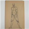 Image 2 : Original Pencil and Pen Drawing, Anatomical Study of a Man