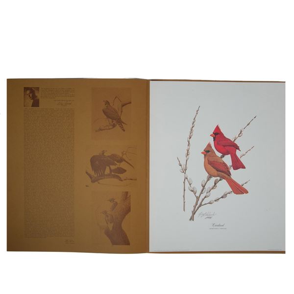 Guy Coheleach (American, b. 1933) Lithograph Print, Signed