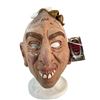 Image 1 : American Horror Story (2011–) - Pepper Mask Signed By Naomi Grossman