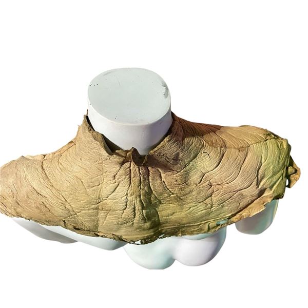 Alien 3 (1992) - Xenomorph Neck Piece