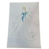 Image 1 : Once Upon a Time (2011-2018) - Elsa Costume Design. (Production used copy)