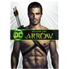 Image 3 : Arrow TV Series (2012-2020) - Green Arrow (Stephen Amell) Season 1 Stunt Quiver