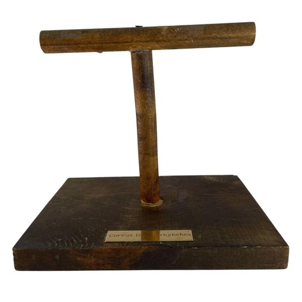 The Crow: Salvation (2000) - Crow Perch with Plaque