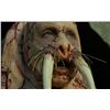 Image 7 : Tusk (2014) - Justin Long Face/Tusk Appliance