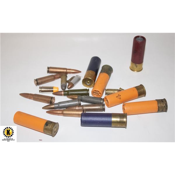 MIXED AMMUNITION SHOTGUN, RIFLE