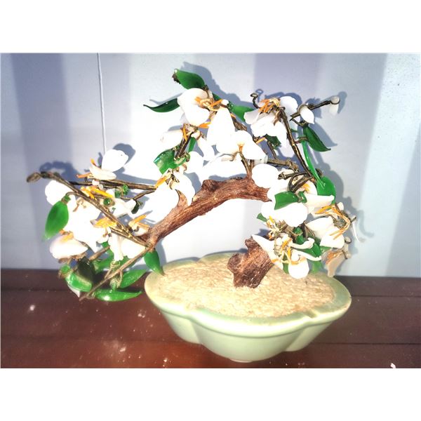 Jade Bonsai A