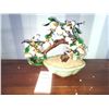 Image 2 : Jade Bonsai A