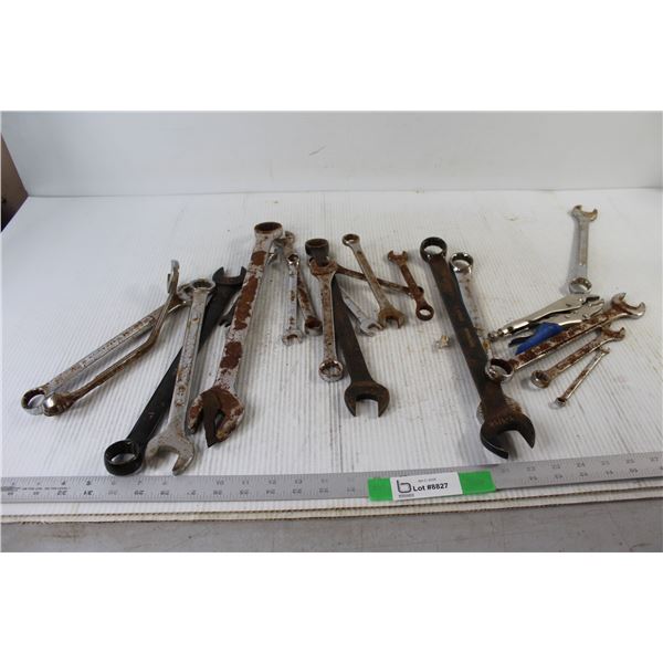 Assorted Wrenches