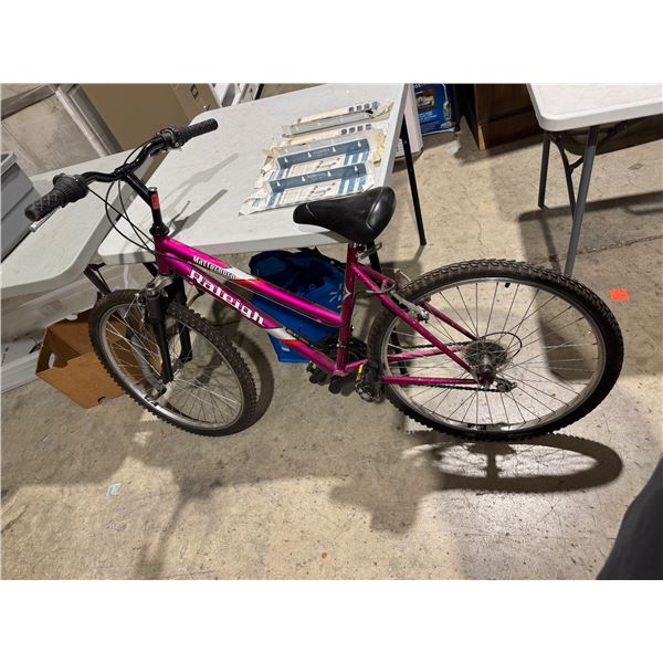 Raleigh Matterhorn bike