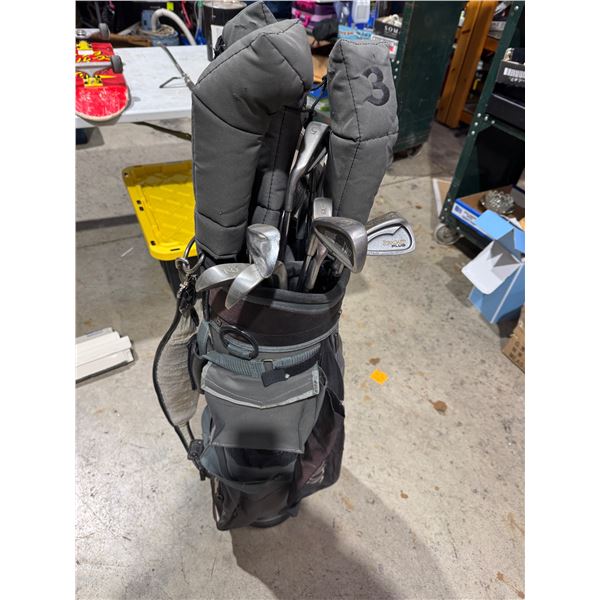 Golf clubs and bag