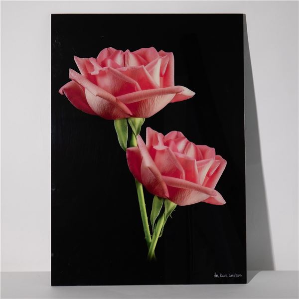 Hal Kaye, Original Color Photograph on Lucite, Roses, Signed