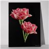 Image 1 : Hal Kaye, Original Color Photograph on Lucite, Roses, Signed