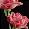 Image 2 : Hal Kaye, Original Color Photograph on Lucite, Roses, Signed