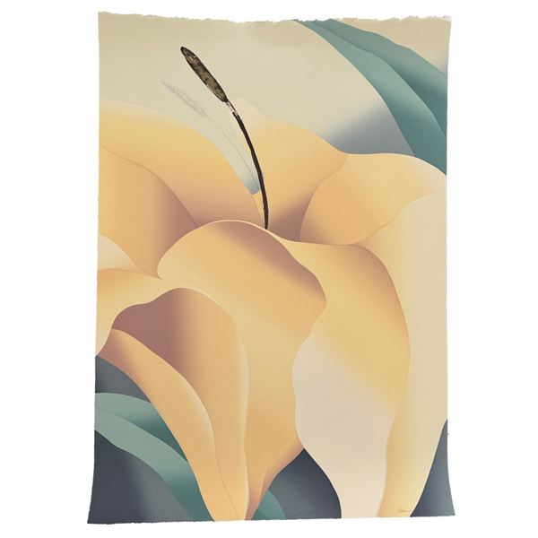 Nancy Denison, Original Lithograph on Paper, Signed