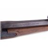 Image 4 : Thompson Black Powder Hawken Gun, Access., Case