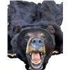 Image 2 : Black Bear Rug w/ Felt Liner