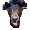 Image 13 : Black Bear Rug w/ Felt Liner