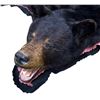 Image 3 : Black Bear Rug w/ Felt Liner