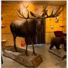 Image 1 : Full Size Moose Mount