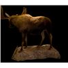 Image 4 : Full Size Moose Mount