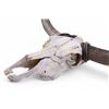 Image 2 : Longhorn Skull Mount