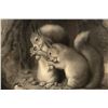 Image 4 : Antique Squirrel Engraving