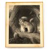Image 7 : Antique Squirrel Engraving