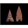 Image 12 : Neolithic Algerian Tidikelt Sahara Arrowheads (32)
