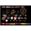 Image 2 : U.S. Army Sterling Colonel Pins, Medallions & More