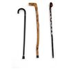 Travel Walking Sticks and Cane