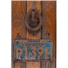 Image 2 : 1954 License Plate & Early Door Knocker on Panel