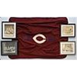 1890s Framed University Of Chicago Baseball Team Photos w/ Blanket (5)