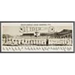 1912 Framed Boston Red Sox Original Team Photo (World Champions)