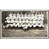 Image 1 : 1941 Framed Brooklyn Dodgers Team Photo Belonging To Whit Wyatt