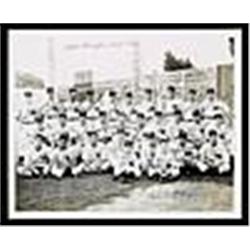 1944 Washington Senators Team Signed Photo (JSA)