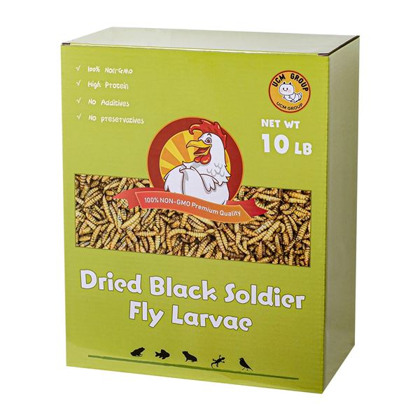 NEW 10 LB UCM GROUP BLACK SOLDIER FLY LARVAE