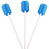 Image 1 : NEW 250 PIECES DISPOSABLE ORAL SWABS