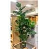Image 1 : BAILIFF SEIZURE- DECORATIVE FAUX FLOOR PLANT 63"