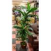 Image 1 : BAILIFF SEIZURE- DECORATIVE FAUX FLOOR PLANT
