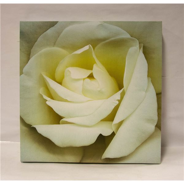 BAILIFF SEIZURE- WHITE ROSE CANVAS PICTURE
