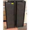Image 1 : GBX MODEL 810 2PA SPEAKERS (X2) 47" X 14" X 11.5"