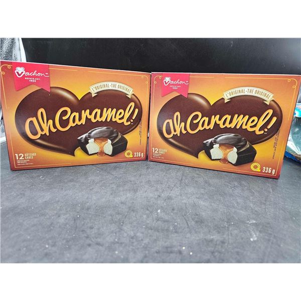 Vachon Ah Caramel Cakes (2 x 12 x 28g)