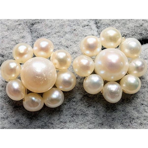 Silver Fresh Water Pearl Earrings, Suggested Retail Value $60