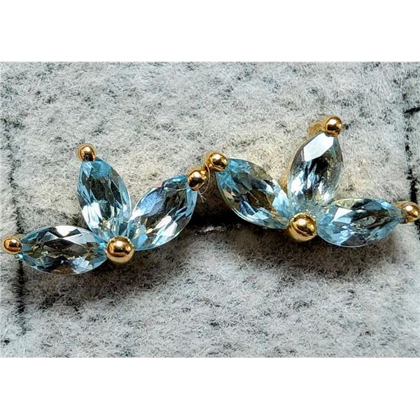 Silver Ble Topaz 0.75Ct Earrings, Suggested Retail Value $100